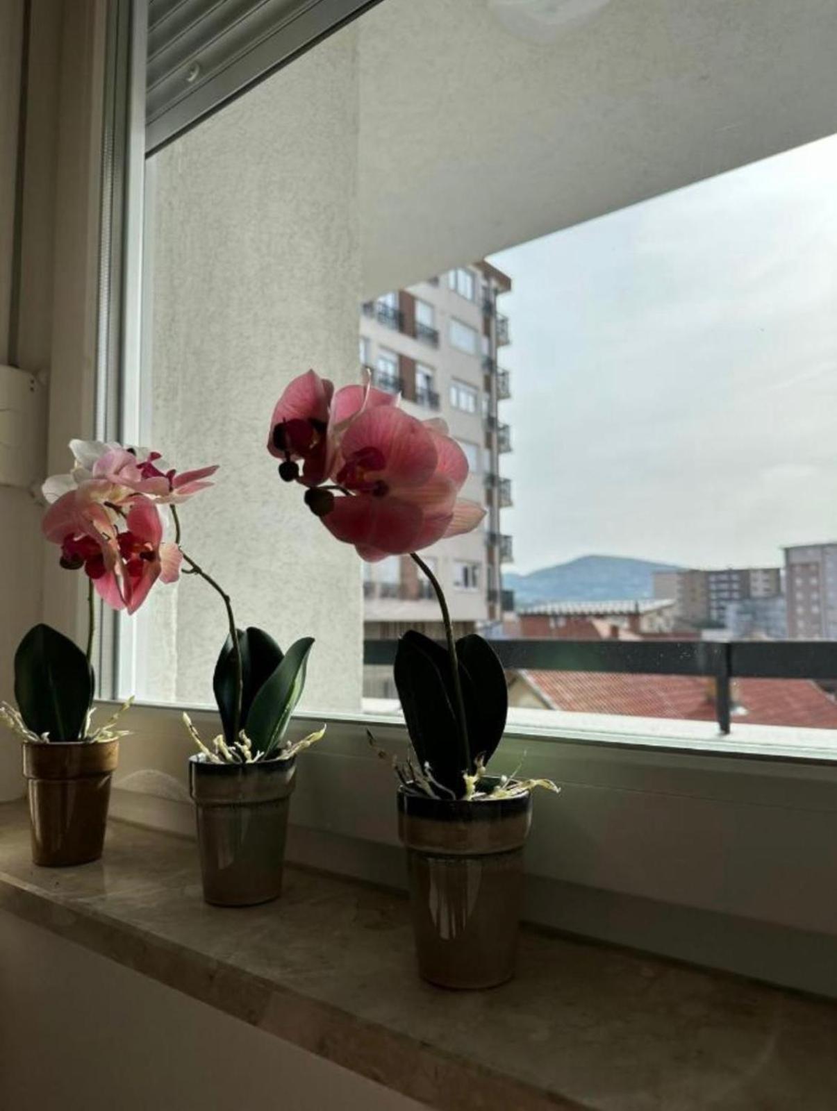 Apartmani Imperial Novi Pazar Exterior photo